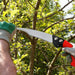 300L Curved Pruning Saw Tree Hedge Garden Plant Trimmer Cutter Blade AU STOCK - FISHER DISCOUNT