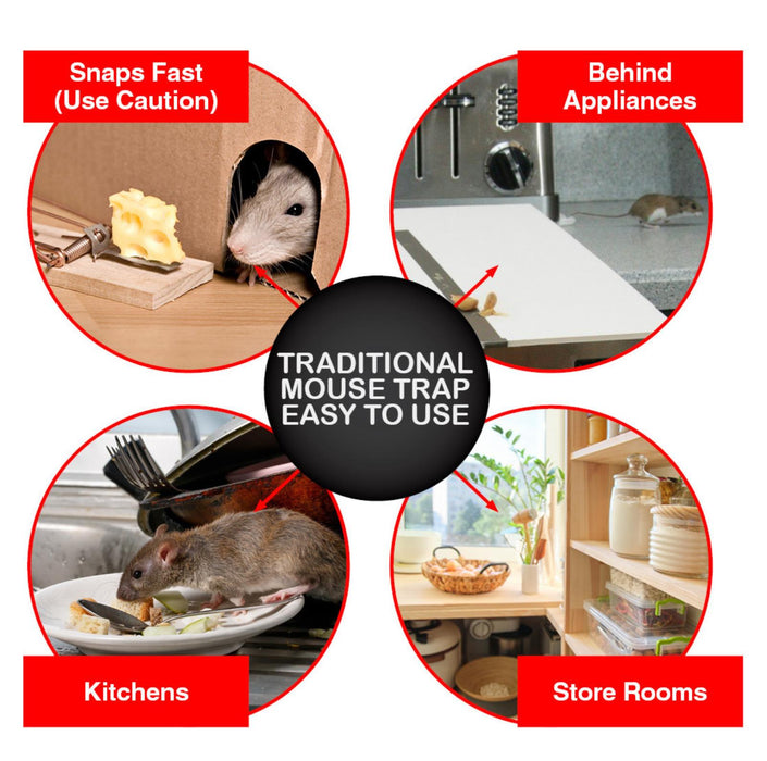 4Pc Wooden Rat Mouse Rodent Trap Bait Traditional Cheese Shaped Catcher Reusable