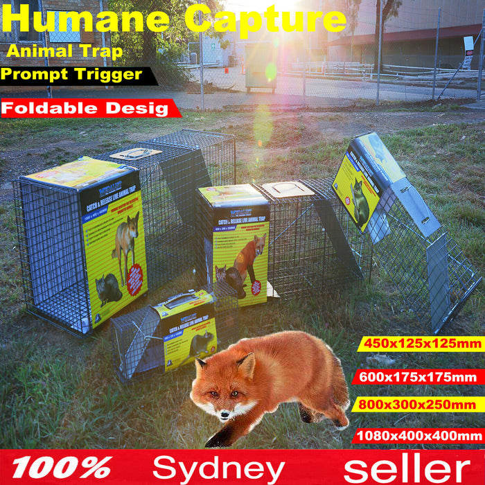 Trap Humane Possum Cage Live Animal Cage Feral Cat Rabbit Hare Rat Bait Rakali N - FISHER DISCOUNT