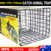 Trap Humane Possum Cage Live Animal Cage Feral Cat Rabbit Hare Rat Bait Rakali N - FISHER DISCOUNT