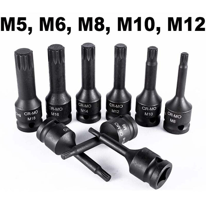 TRAX 5Pcs 1/2″ Dr. Spline Socket Bit Set Made in Taiwan M5/M6/M8/M10/M12