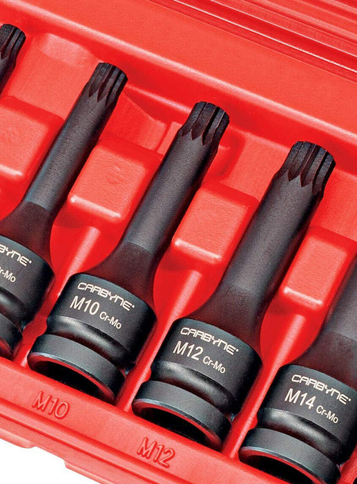 TRAX 5Pcs 1/2″ Dr. Spline Socket Bit Set Made in Taiwan M5/M6/M8/M10/M12