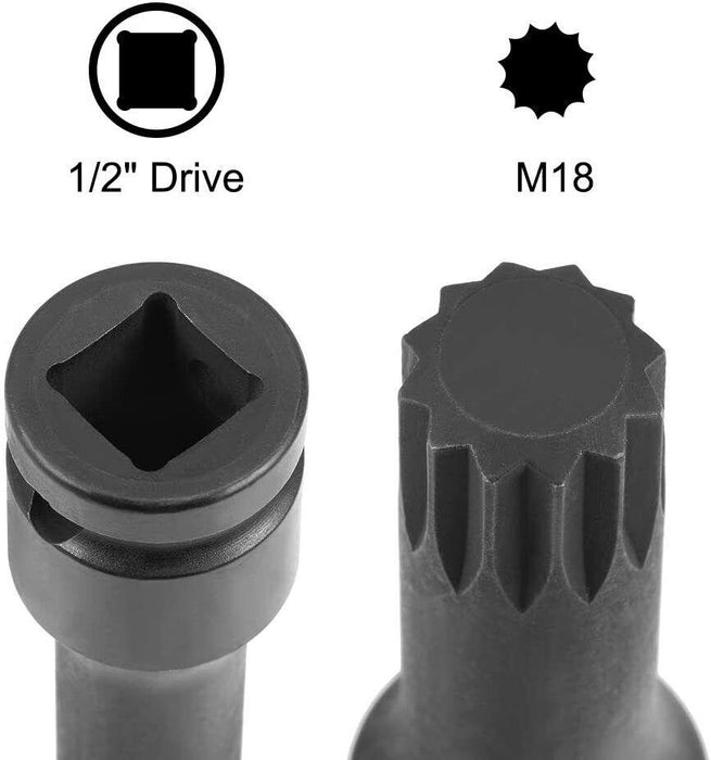 TRAX 5Pcs 1/2″ Dr. Spline Socket Bit Set Made in Taiwan M5/M6/M8/M10/M12