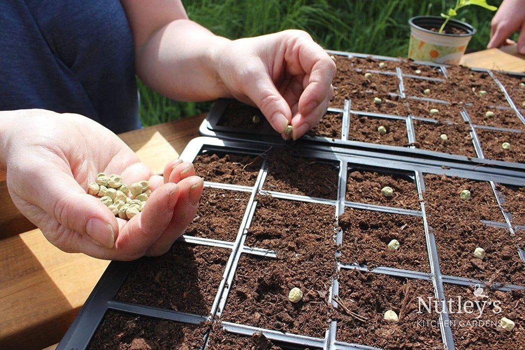 3 Pack 24 Cell Seed Tray - Greenhouse Seed Tray Indoor Outdoor Cuttings Growing