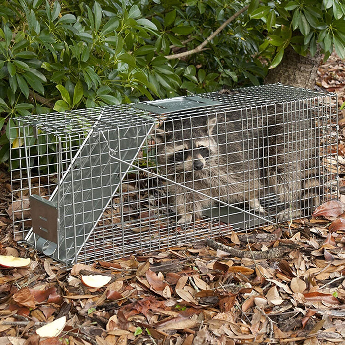 Extra Large 82cm Animal Trap Cage Humane Live Catcher Possum Fox Rabbit Rat Cat