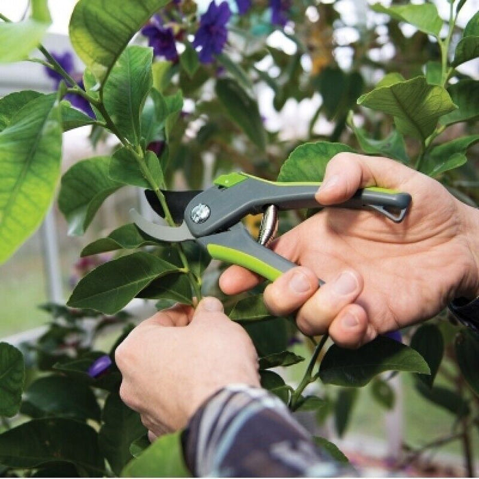 Force pro 2PCS Secateurs Bypass & Floral Snip Set Pruner and Snip Set AU STOCK