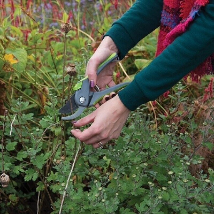 Force pro 2PCS Secateurs Bypass & Floral Snip Set Pruner and Snip Set AU STOCK