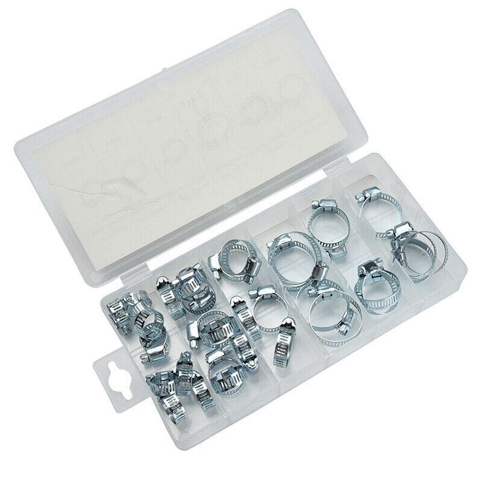 Force pro 40 Pcs Hose Clamp Assortment Professional Industry Tool 6-38mm