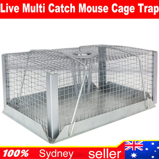 Multi catch trap Easiest solution to catch mouse or rats 210mm premium quality - FISHER DISCOUNT