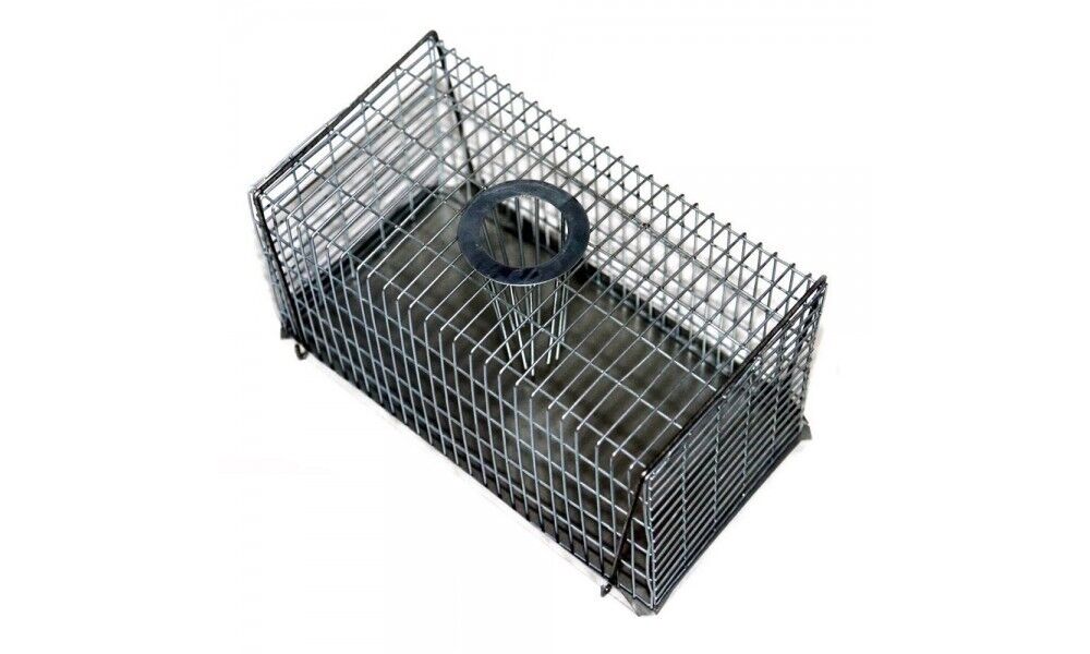 Catching Live Wire MULTI CATCH LIVE MOUSE TRAP SMALL Galvanised Mesh Wire Indoor Outdoor ...