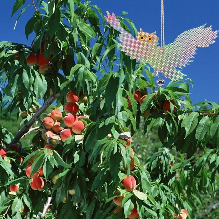 2PC Owl Shape Discs Reflective Bird Pigeon Repellent Scarer Decoy Deterrent