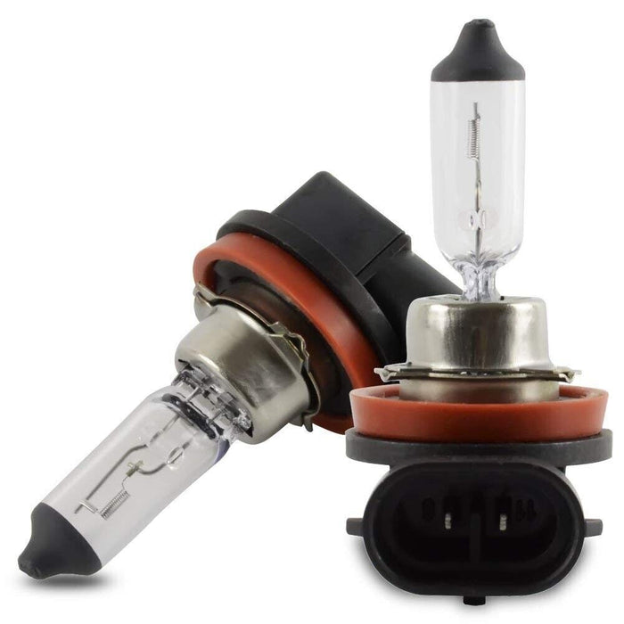MOTOLITE Standard Halogen H11 12V 55W PGJ19-2 4300k Bulb Globe 2pc