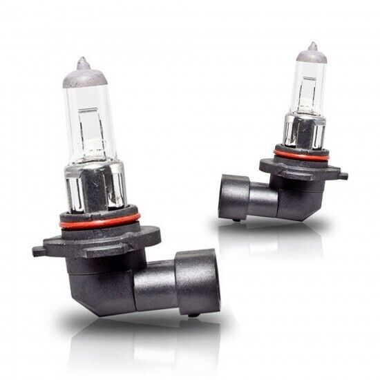 New MOTOLITE  H11 12V 55W Headlights Standard Replacement Halogen Globe Bulbs X2