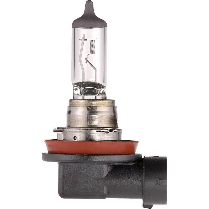 New MOTOLITE  H11 12V 55W Headlights Standard Replacement Halogen Globe Bulbs X2