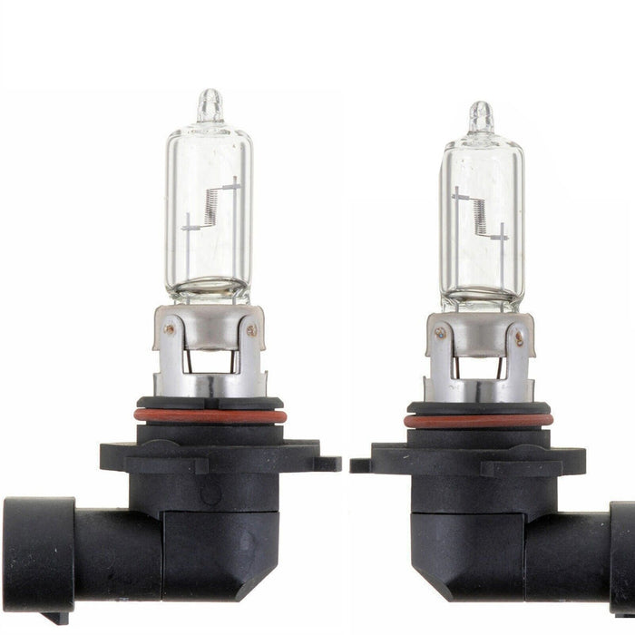 New MOTOLITE  H11 12V 55W Headlights Standard Replacement Halogen Globe Bulbs X2