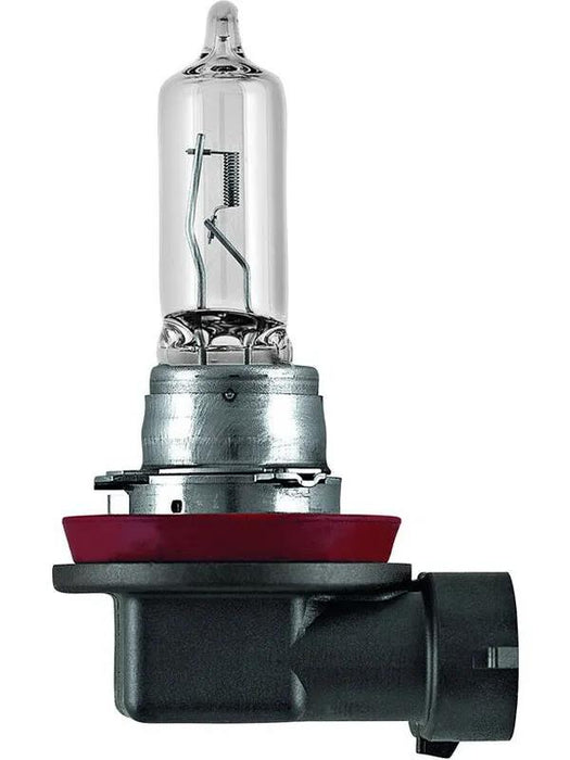 MOTOLIE H9 12V 65W Headlights Standard Replacement Halogen Globe Bulbs X2