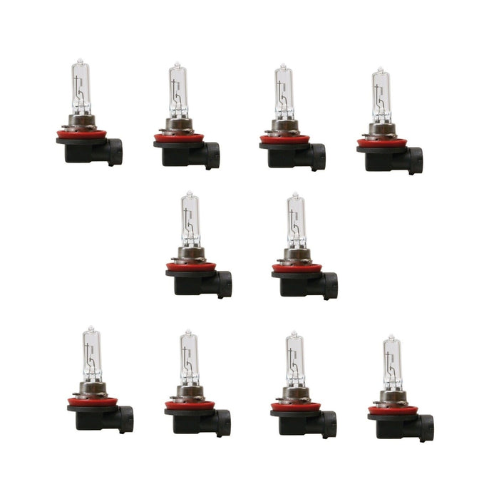 MOTOLITE H11 12V 55W Headlights Standard Replacement Halogen Globe Bulbs X10