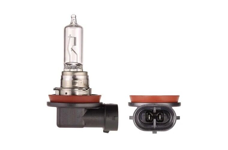 MOTOLITE H11 12V 55W Headlights Standard Replacement Halogen Globe Bulbs X10